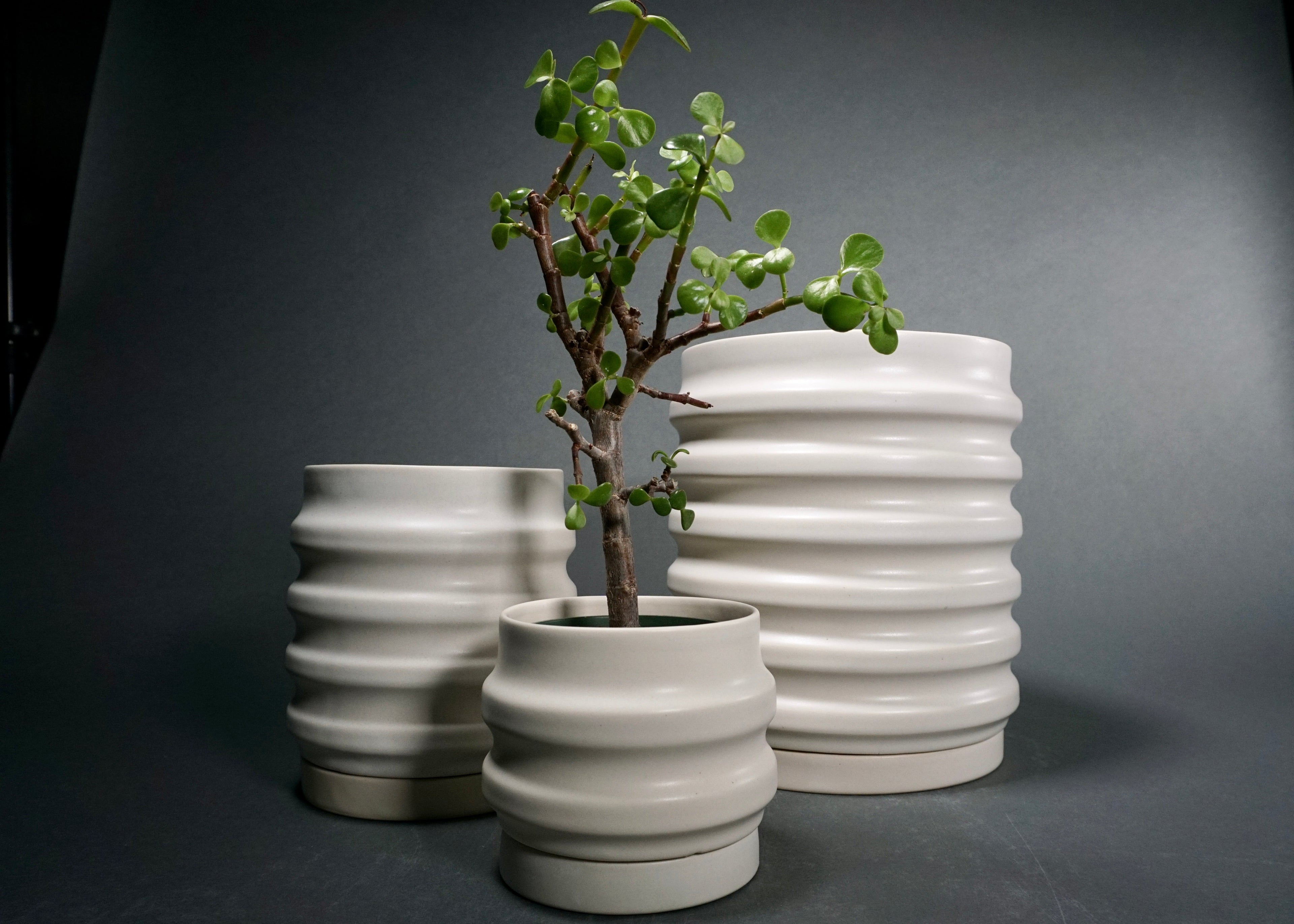 Primera Deep-Ridged Ceramic Planters