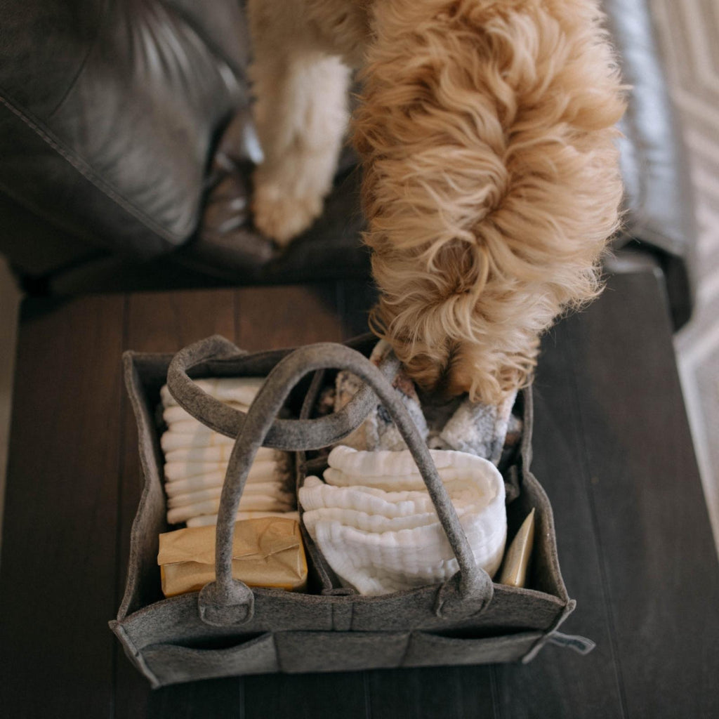 Ultimate Baby Organizer Caddy | Felt Diaper & Nursery Storage