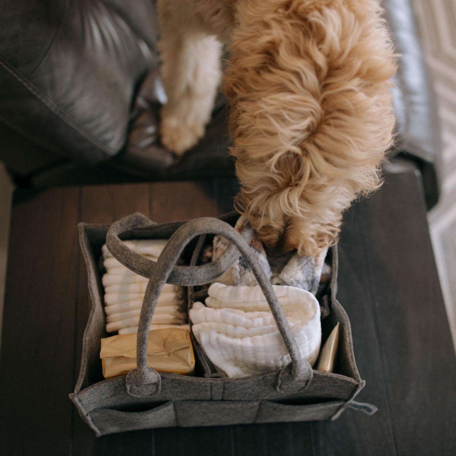 Ultimate Baby Organizer Caddy | Felt Diaper & Nursery Storage