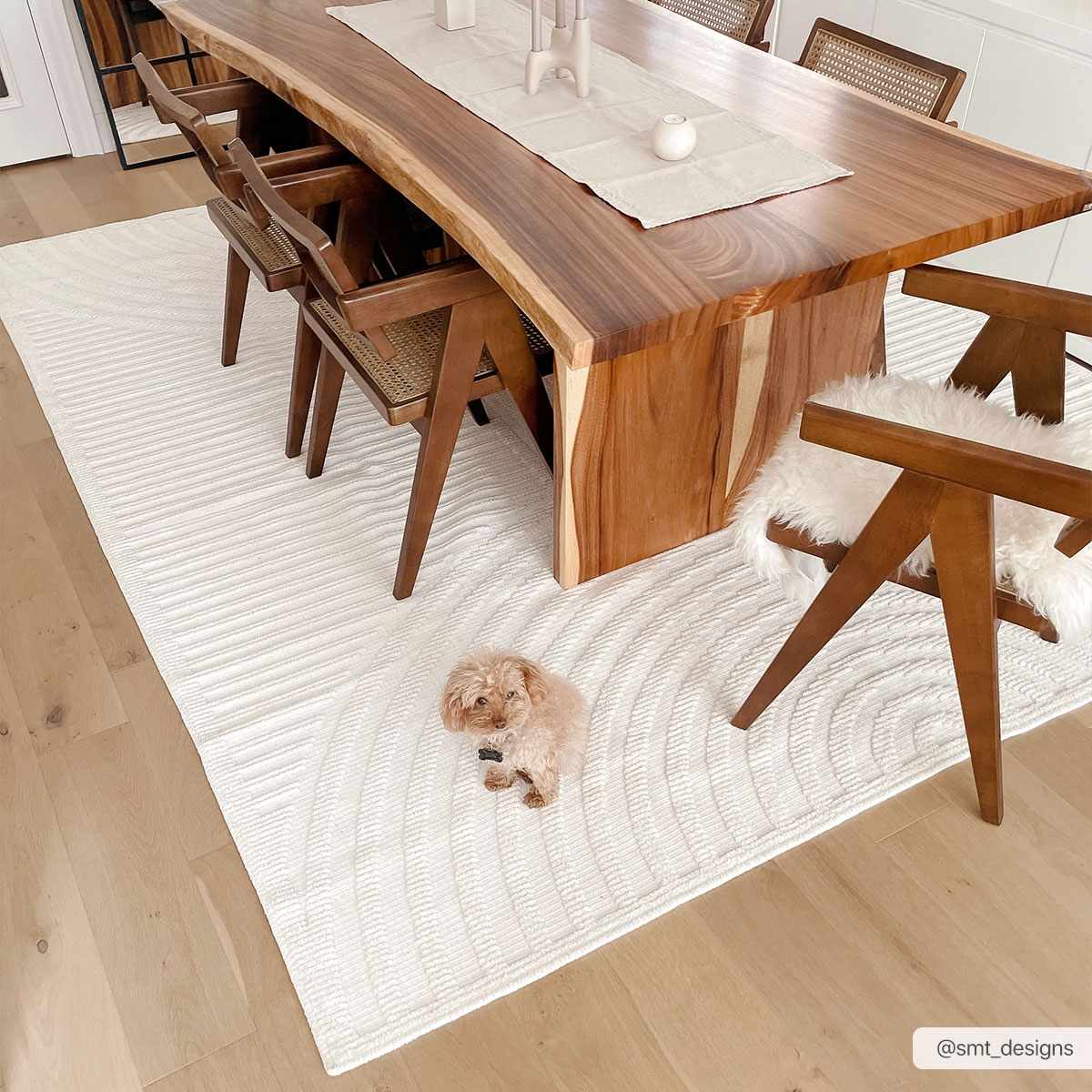 The Minimalist Haven Washable Rug